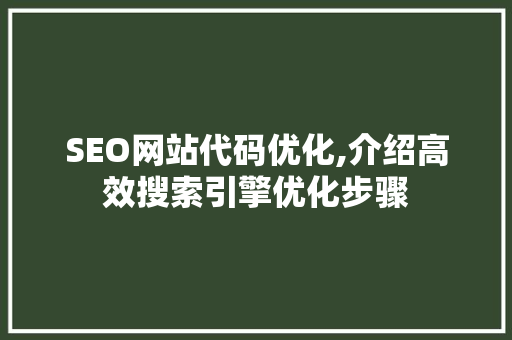 SEO网站代码优化,介绍高效搜索引擎优化步骤