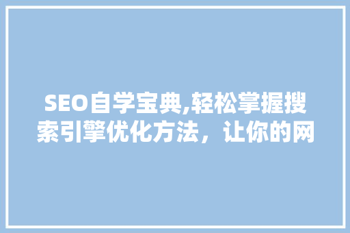 SEO自学宝典,轻松掌握搜索引擎优化方法，让你的网站脱颖而出 GoogleSEO