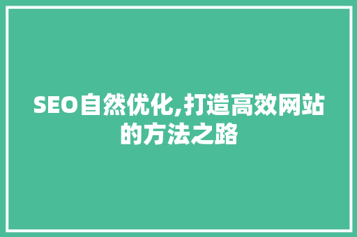 SEO自然优化,打造高效网站的方法之路 百度SEO