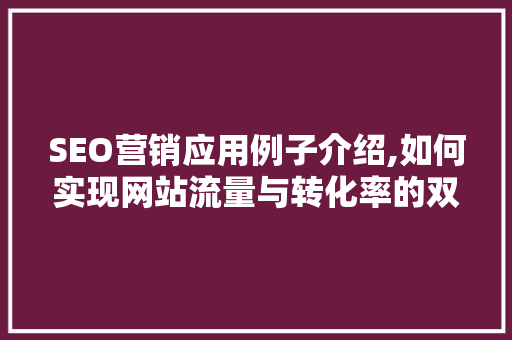 SEO营销应用例子介绍,如何实现网站流量与转化率的双赢 GoogleSEO
