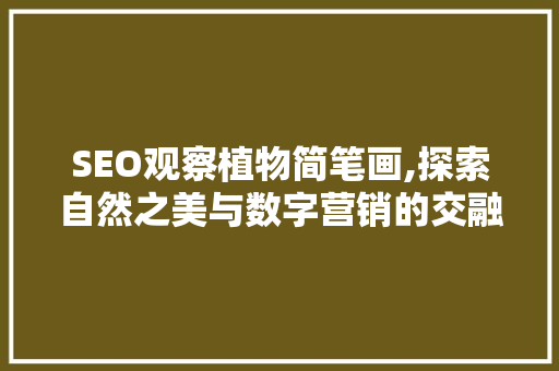 SEO观察植物简笔画,探索自然之美与数字营销的交融 搜狗SEO