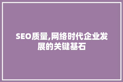 SEO质量,网络时代企业发展的关键基石 百度SEO