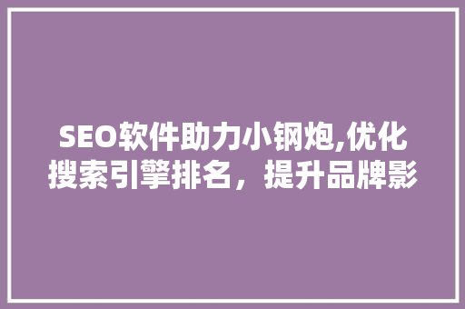 SEO软件助力小钢炮,优化搜索引擎排名，提升品牌影响力 GoogleSEO