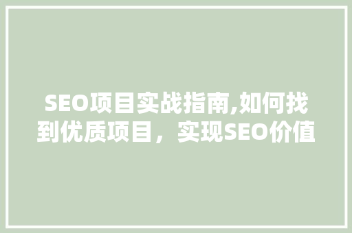SEO项目实战指南,如何找到优质项目，实现SEO价值最大化 必应SEO