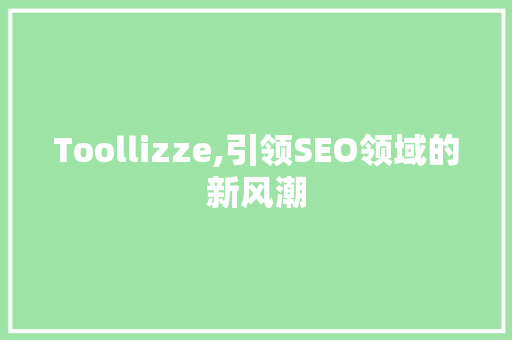 Toollizze,引领SEO领域的新风潮 神马SEO