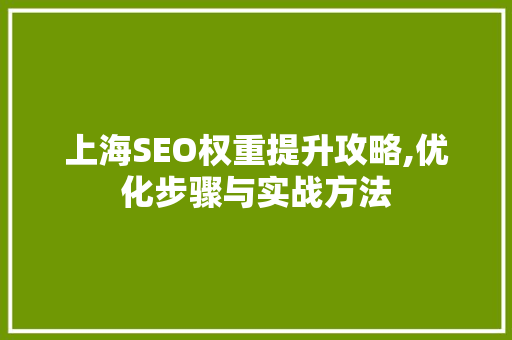 上海SEO权重提升攻略,优化步骤与实战方法 必应SEO