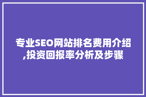 专业SEO网站排名费用介绍,投资回报率分析及步骤 必应SEO