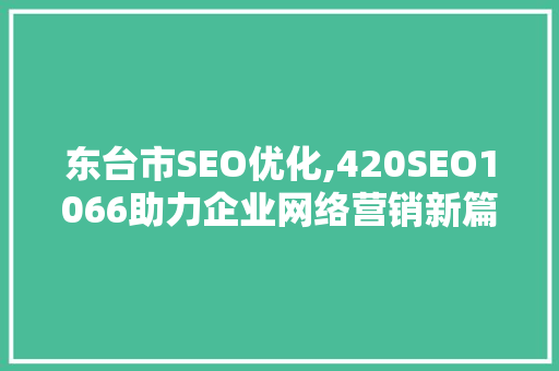 东台市SEO优化,420SEO1066助力企业网络营销新篇章 必应SEO
