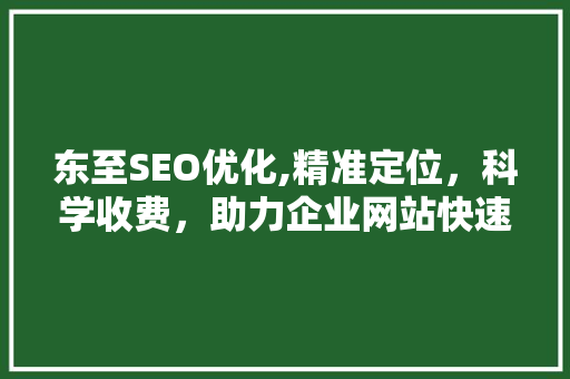 东至SEO优化,精准定位，科学收费，助力企业网站快速崛起