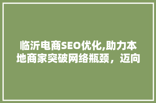 临沂电商SEO优化,助力本地商家突破网络瓶颈，迈向辉煌未来 GoogleSEO
