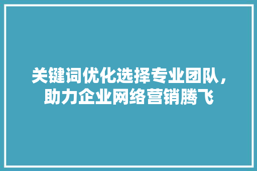 关键词优化选择专业团队，助力企业网络营销腾飞 百度SEO