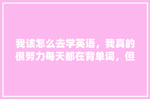 我该怎么去学英语，我真的很努力每天都在背单词，但是背的单词一两个月就忘了一些「easy几个音节,重读音节在哪」