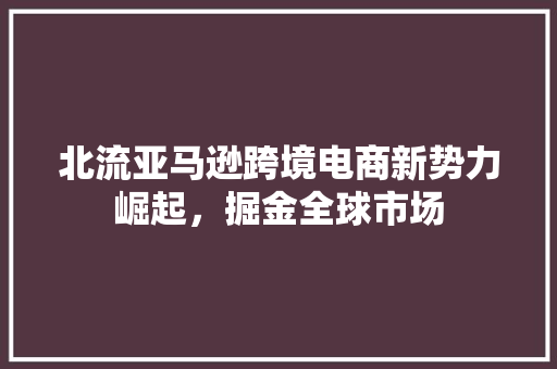 北流亚马逊跨境电商新势力崛起，掘金全球市场 神马SEO