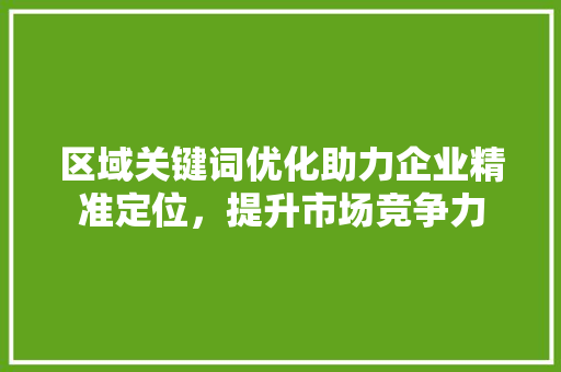 区域关键词优化助力企业精准定位，提升市场竞争力 神马SEO