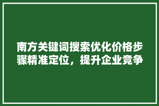 南方关键词搜索优化价格步骤精准定位，提升企业竞争力