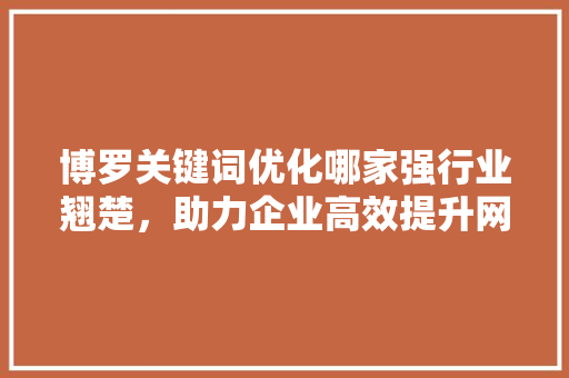 博罗关键词优化哪家强行业翘楚，助力企业高效提升网络曝光率
