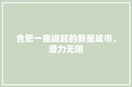 合肥一座崛起的新星城市，潜力无限 GoogleSEO