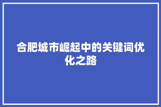 合肥城市崛起中的关键词优化之路