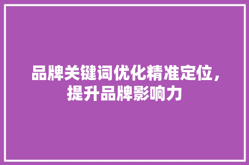品牌关键词优化精准定位，提升品牌影响力 GoogleSEO