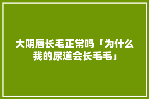 大阴唇长毛正常吗「为什么我的尿道会长毛毛」 大阴唇长毛正常吗「为什么我的尿道会长毛毛」 搜狗SEO