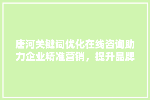 唐河关键词优化在线咨询助力企业精准营销，提升品牌影响力