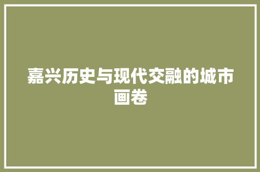 嘉兴历史与现代交融的城市画卷 神马SEO