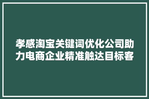 孝感淘宝关键词优化公司助力电商企业精准触达目标客户，提升转化率 神马SEO
