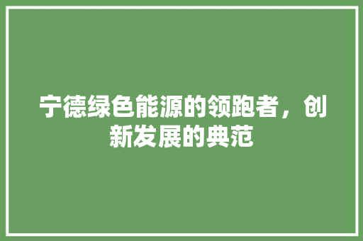 宁德绿色能源的领跑者，创新发展的典范 必应SEO