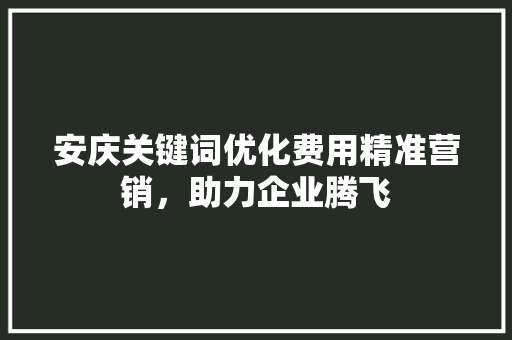 安庆关键词优化费用精准营销，助力企业腾飞 GoogleSEO