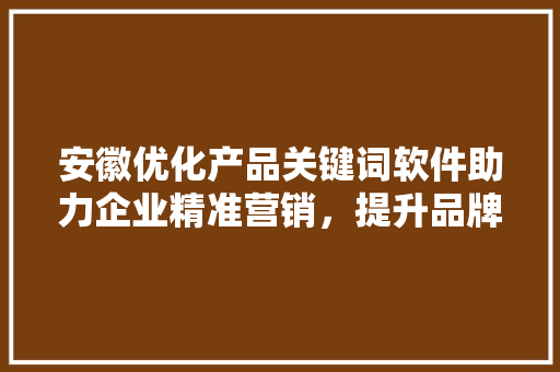 安徽优化产品关键词软件助力企业精准营销，提升品牌影响力 神马SEO