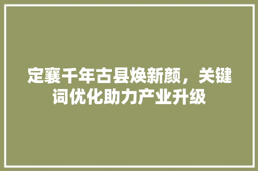 定襄千年古县焕新颜，关键词优化助力产业升级 GoogleSEO