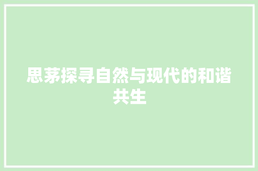 思茅探寻自然与现代的和谐共生 神马SEO