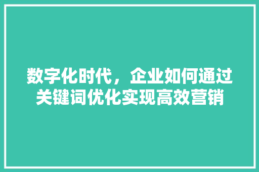 数字化时代，企业如何通过关键词优化实现高效营销 百度SEO