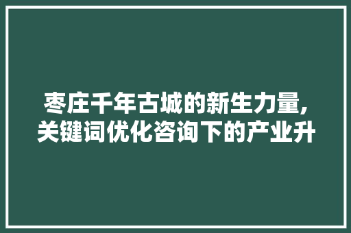 枣庄千年古城的新生力量,关键词优化咨询下的产业升级之路 搜狗SEO