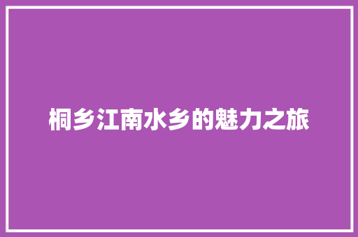 桐乡江南水乡的魅力之旅 百度SEO