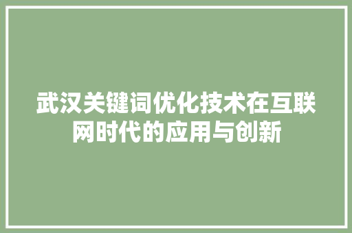 武汉关键词优化技术在互联网时代的应用与创新 神马SEO
