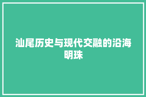 汕尾历史与现代交融的沿海明珠 必应SEO