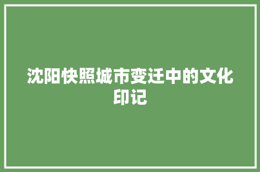 沈阳快照城市变迁中的文化印记 神马SEO