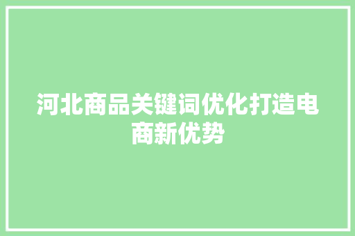 河北商品关键词优化打造电商新优势 百度SEO
