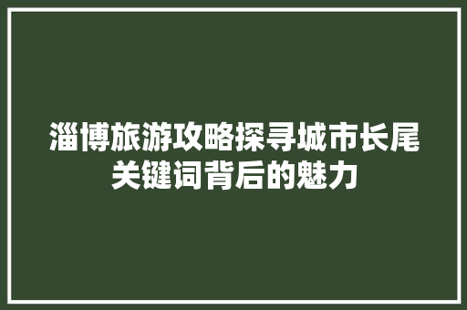 淄博旅游攻略探寻城市长尾关键词背后的魅力 GoogleSEO
