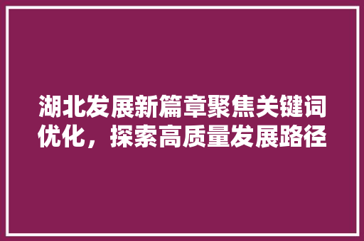 湖北发展新篇章聚焦关键词优化，探索高质量发展路径 搜狗SEO