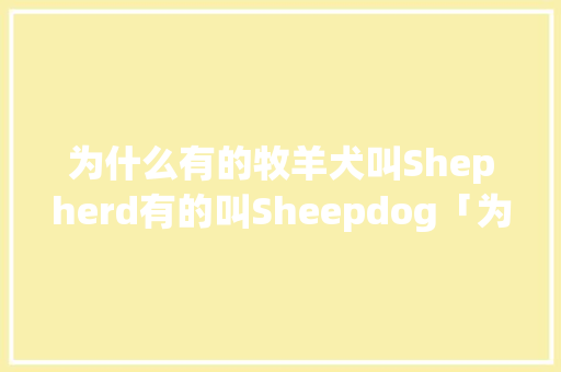 为什么有的牧羊犬叫Shepherd有的叫Sheepdog「为什么称呼抖音爸爸」 为什么有的牧羊犬叫Shepherd有的叫Sheepdog「为什么称呼抖音爸爸」 搜狗SEO