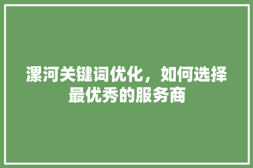 漯河关键词优化，如何选择最优秀的服务商 神马SEO