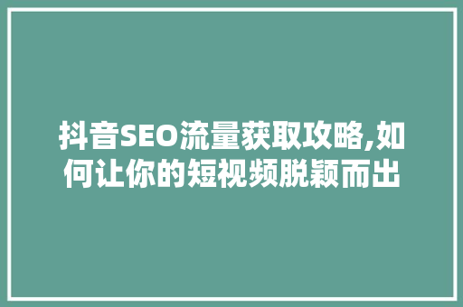 抖音SEO流量获取攻略,如何让你的短视频脱颖而出