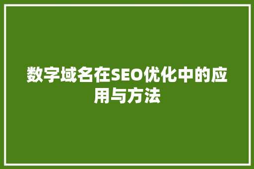 数字域名在SEO优化中的应用与方法 神马SEO