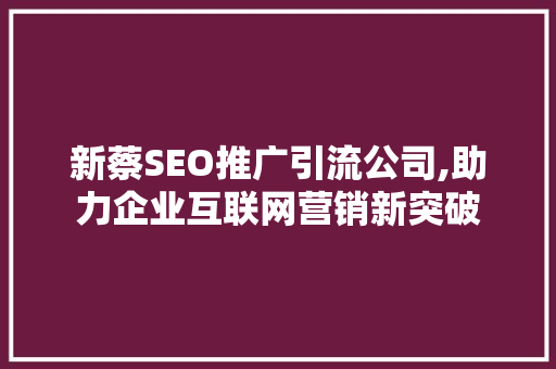 新蔡SEO推广引流公司,助力企业互联网营销新突破