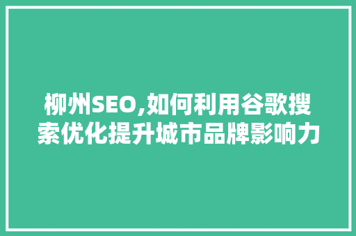 柳州SEO,如何利用谷歌搜索优化提升城市品牌影响力 百度SEO
