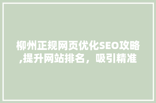 柳州正规网页优化SEO攻略,提升网站排名，吸引精准流量 神马SEO