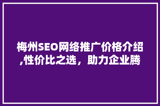 梅州SEO网络推广价格介绍,性价比之选，助力企业腾飞 必应SEO