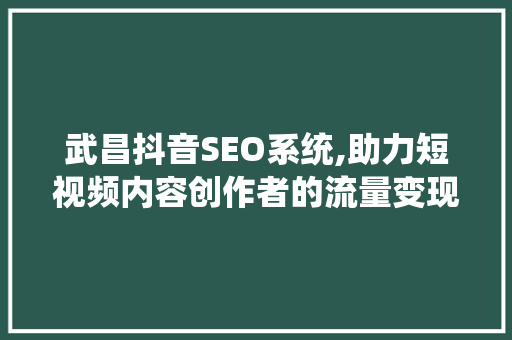 武昌抖音SEO系统,助力短视频内容创作者的流量变现之路 百度SEO